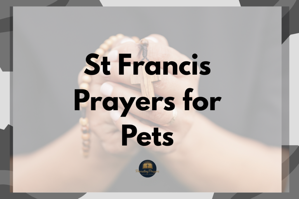 bible verses for parents love - 2026-03-06T154848.570 St Francis Prayers for Pets