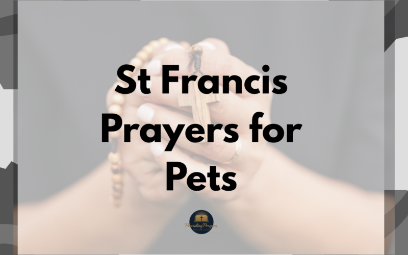 St Francis Prayers for Pets