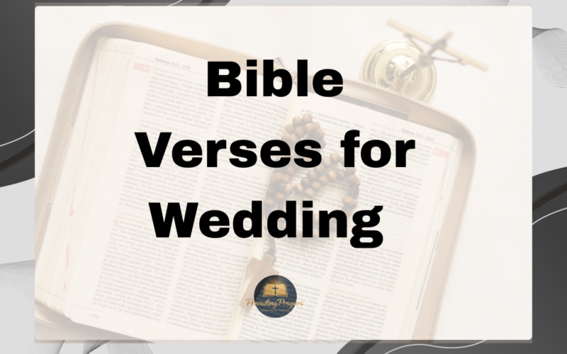 Bible Verses for Wedding