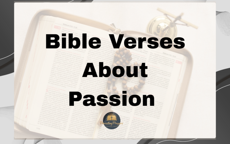 Bible Verses About Passion