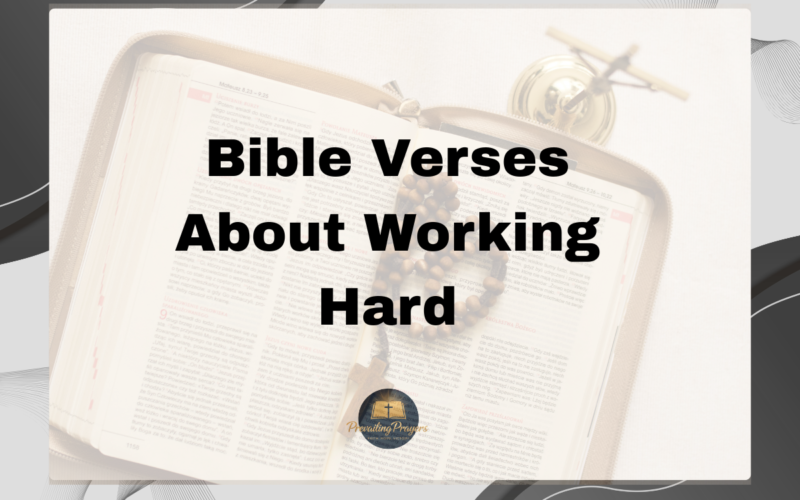 Bible Verses About Working Hard