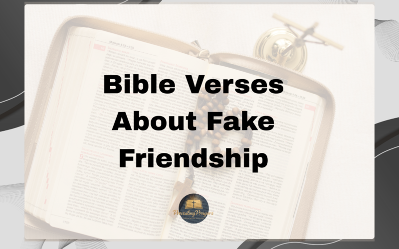 Bible Verses About Fake Friendship