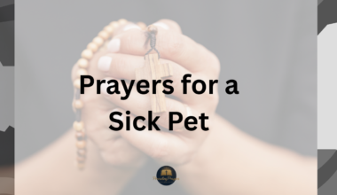 Prayers for a Sick Pet