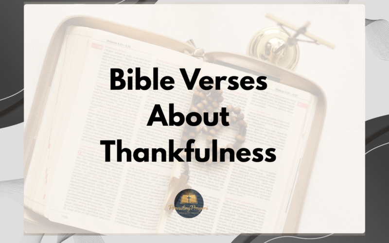 Bible Verses About Thankfulness