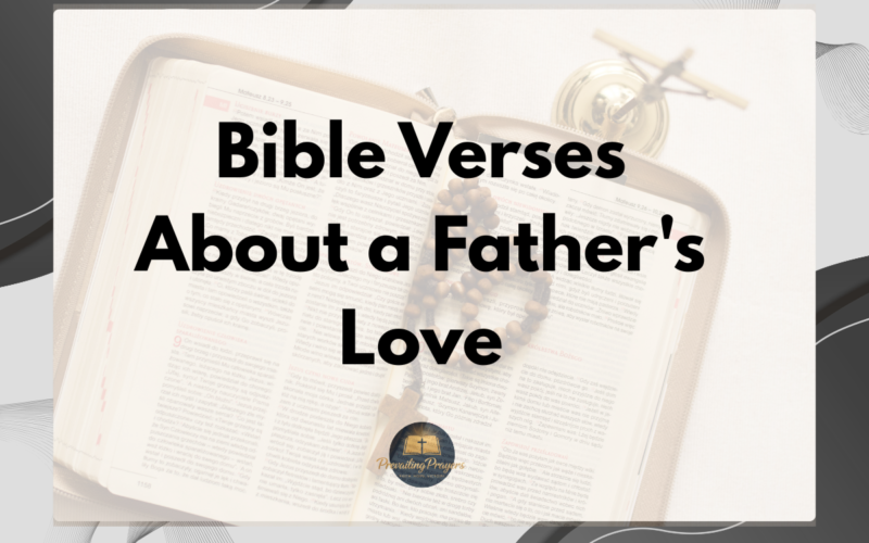 Bible Verses About a Father's Love