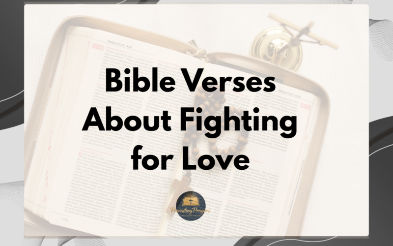 Bible Verses About Fighting for Love