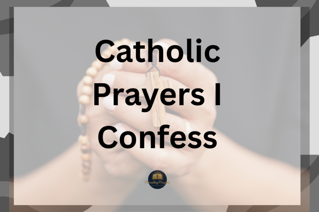 Catholic Prayers I Confess