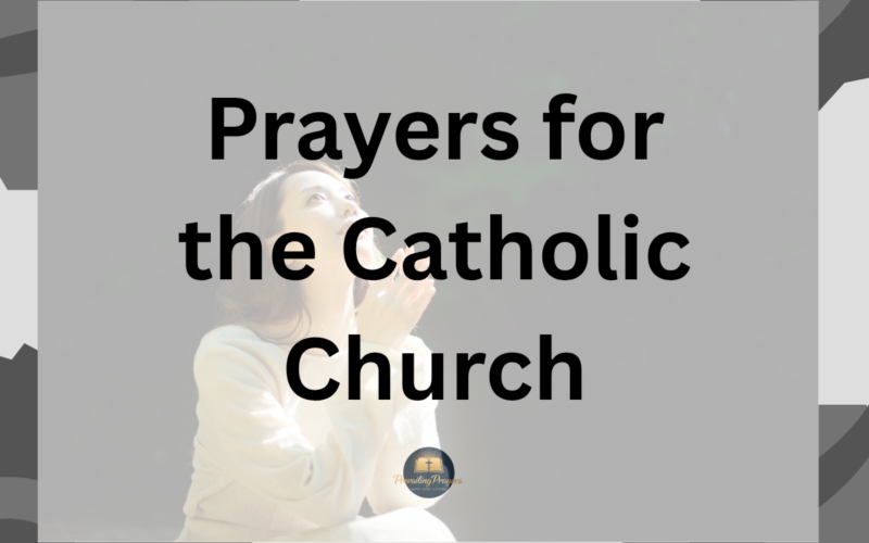 Prayers for the Catholic Church